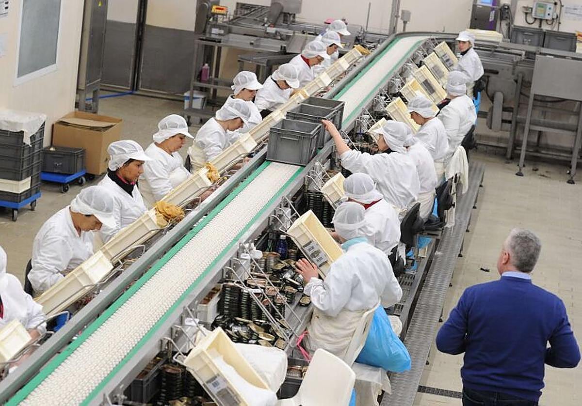 Un equipo de empleadas trabaja embotando bonito en una conservera de Bermeo.