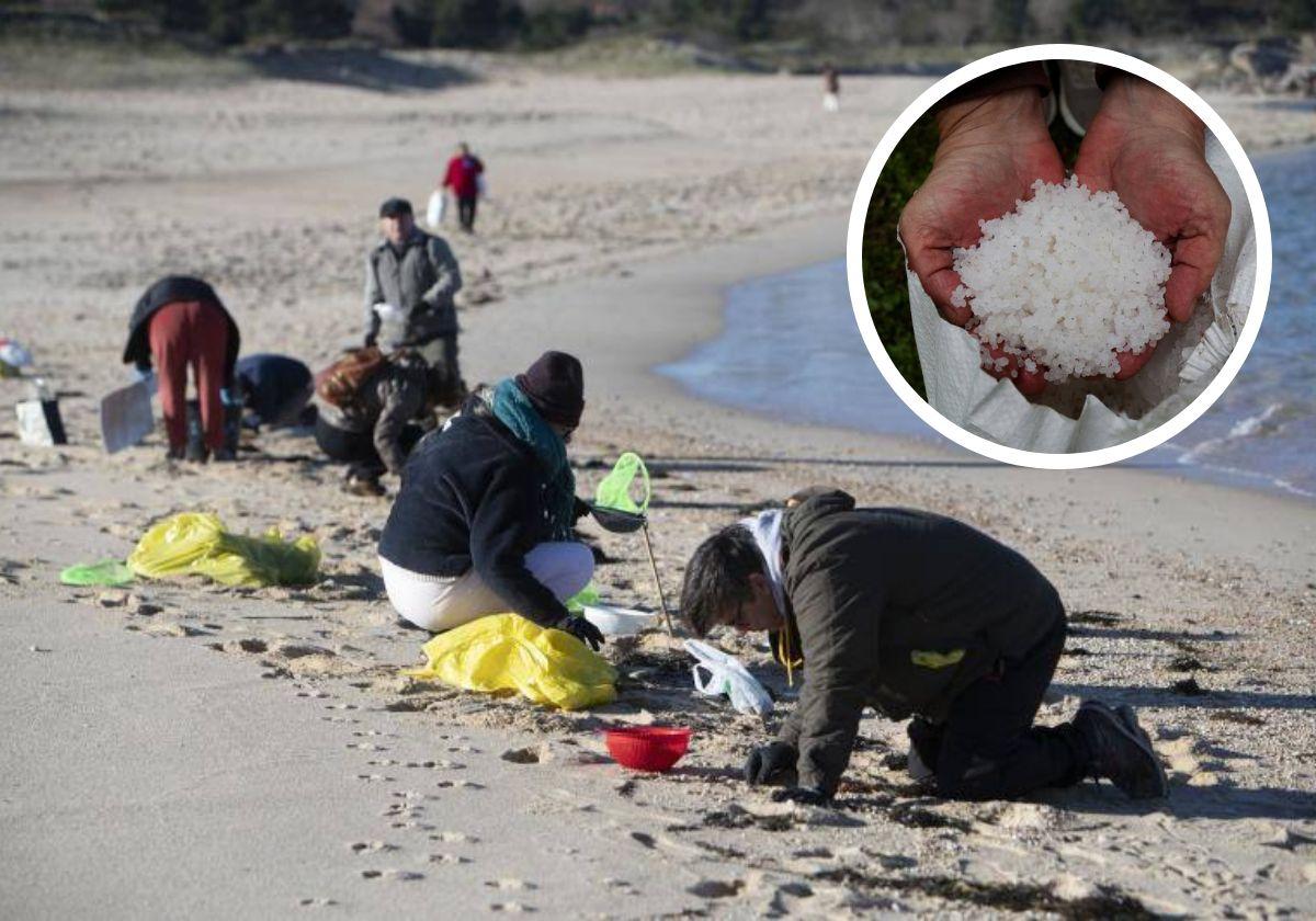 Voluntarios recogen pellets en las playas de Galicia.