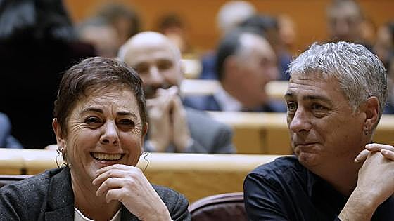 Bildu apoyará los decretos por «responsabilidad» y «paciencia estratégica»