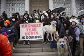 Reacción de los animalistas en Corea del Sur.