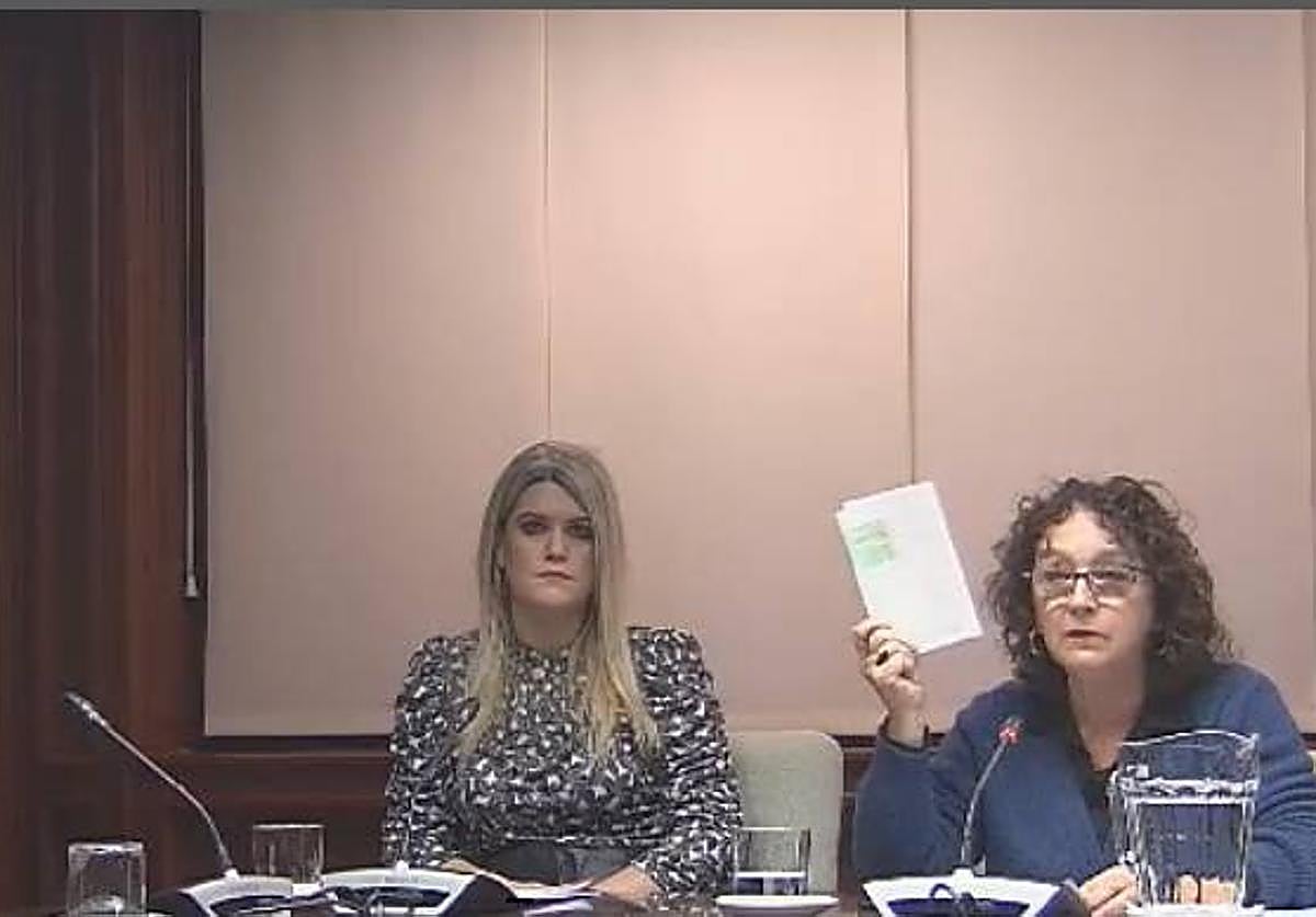 La alcaldesa de Asparrena, en su comparencia de esta mañana en las Juntas Generales.