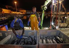 Dos arrantzales aprovechan la luz del puerto para etiquetar bonitos tras una descarga de pescado por la noche.