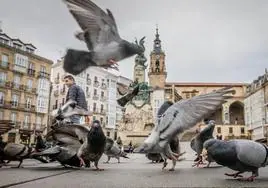 Detenido en Vitoria por agredir a los policías que le pidieron no dar de comer a las palomas