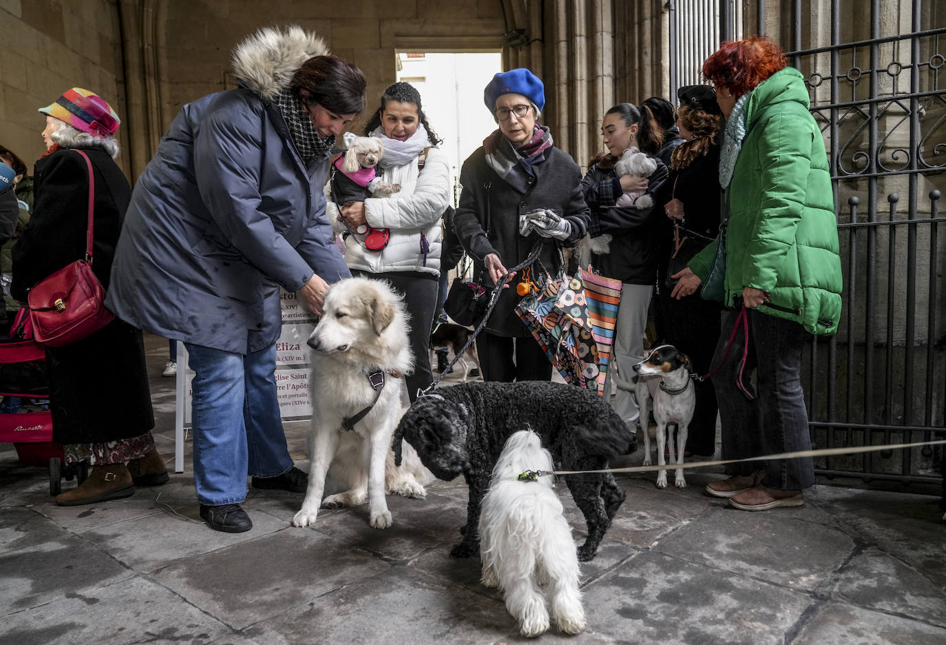 El día de San Antón en Vitoria
