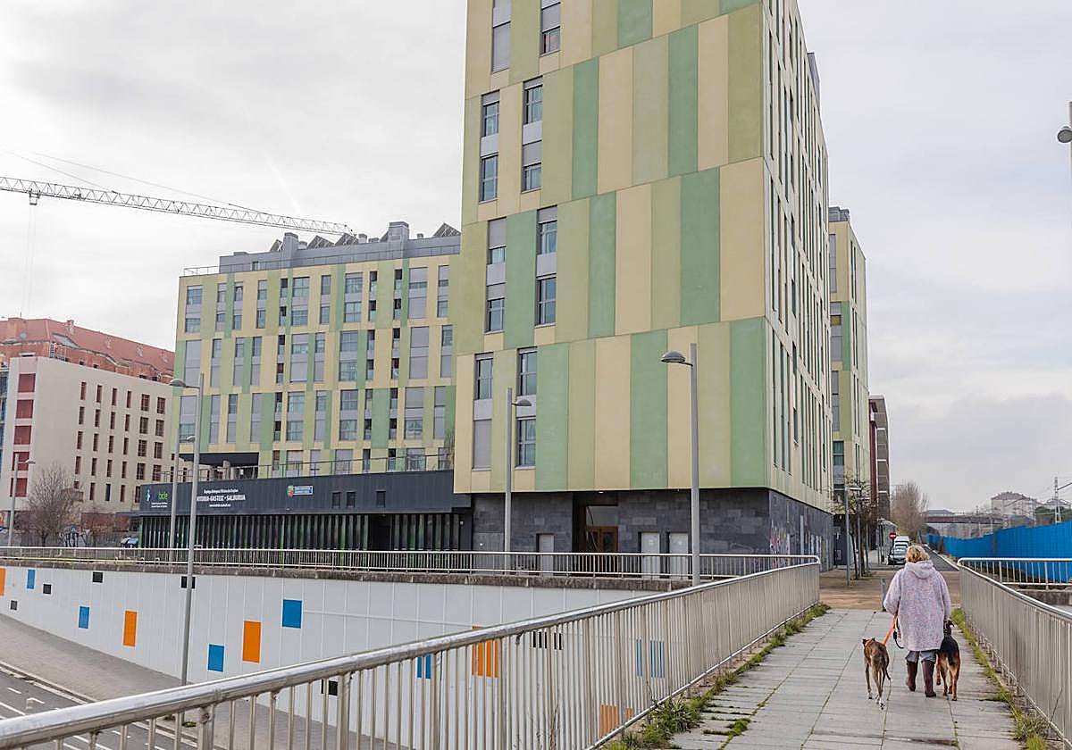 Hace 15 días, la Policía Local acudió a este edificio de pisos sociales de Salburua por una trifulca entre okupas y residentes legales.