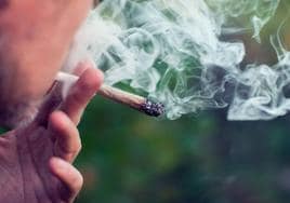 El 14% de los jóvenes vascos fuma porros de forma habitual