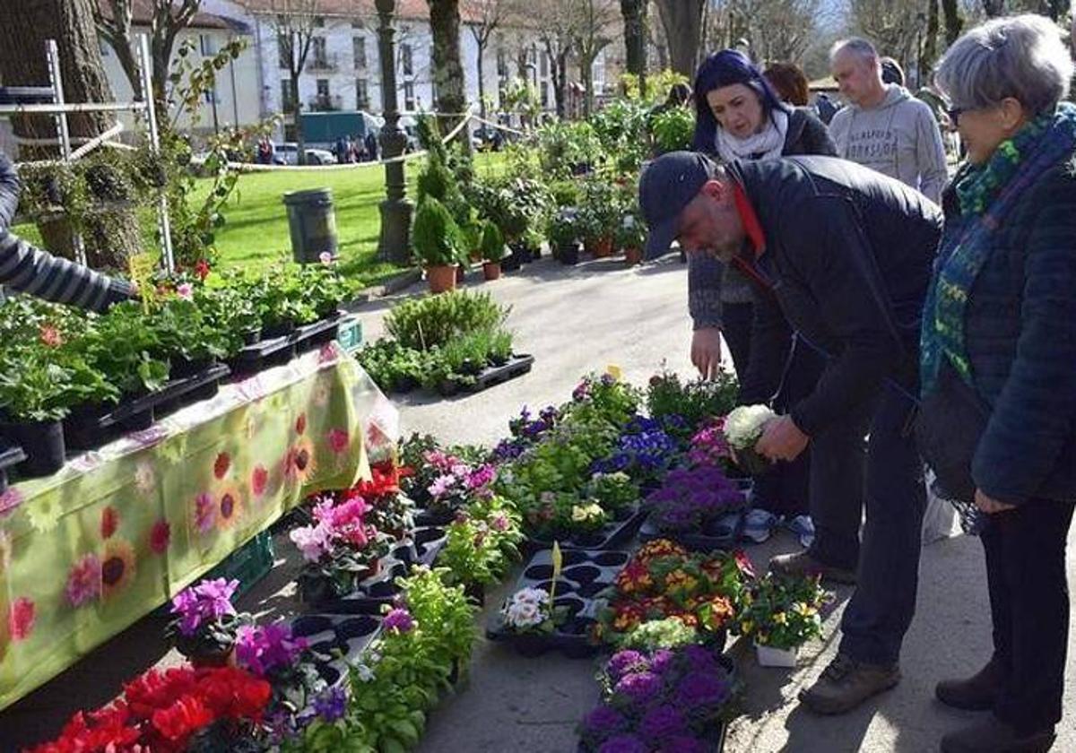 La feria de plantas y árboles de Markina incluirá reparto de compostaje