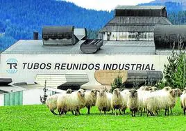 El comité de Tubos Reunidos denuncia la presentación de un nuevo ERTE.