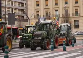 Tractores de los viticultores alaveses entran este jueves en Logroño.