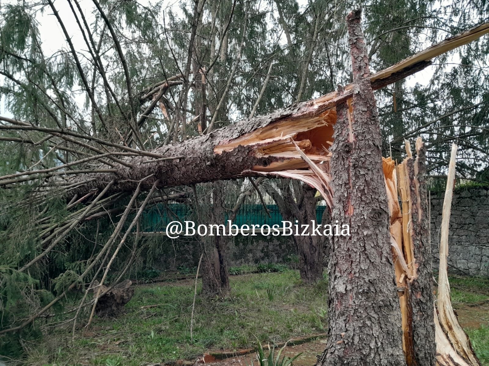 El fuerte viento provoca numerosas incidencias en Bizkaia