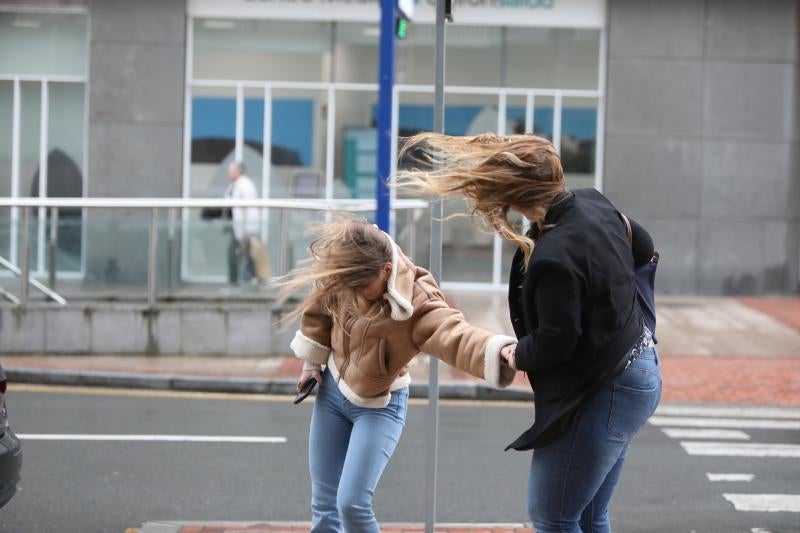 El fuerte viento provoca numerosas incidencias en Bizkaia