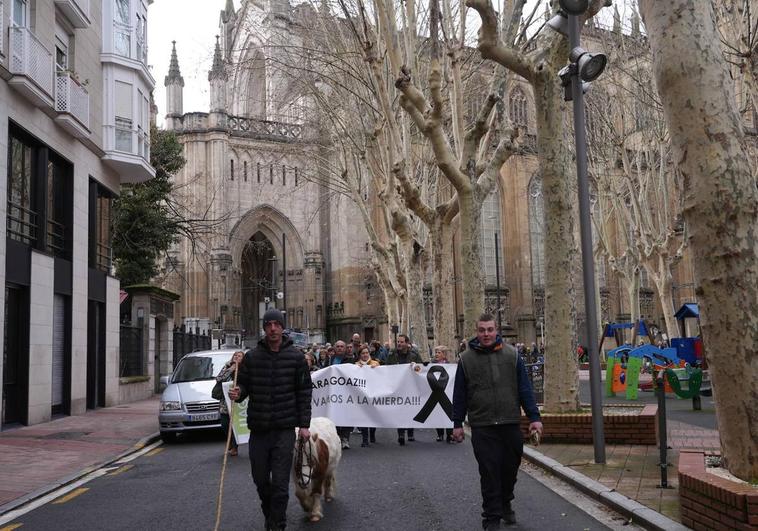 La marcha de agricultores desarrollada por las calles de Vitoria.