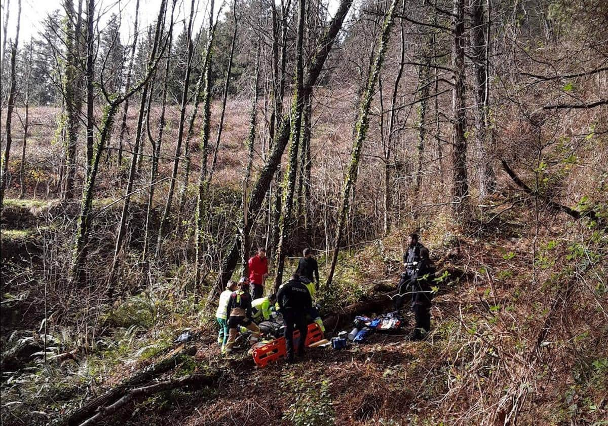 Fallece un hombre de 80 años tras caerle un árbol en Aramaio