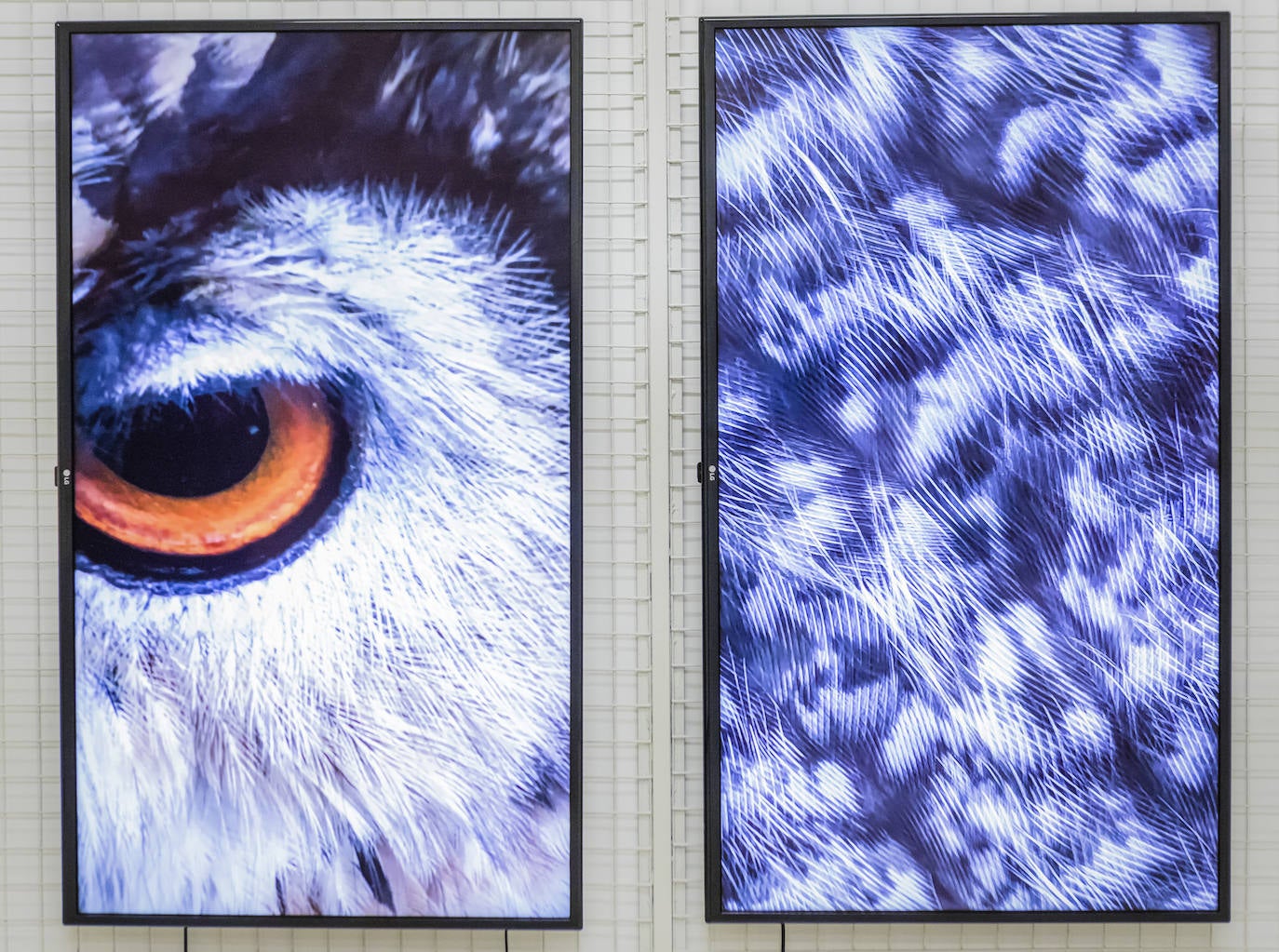 Las 27 nuevas obras de la &#039;Colección compartida&#039; de arte vasco