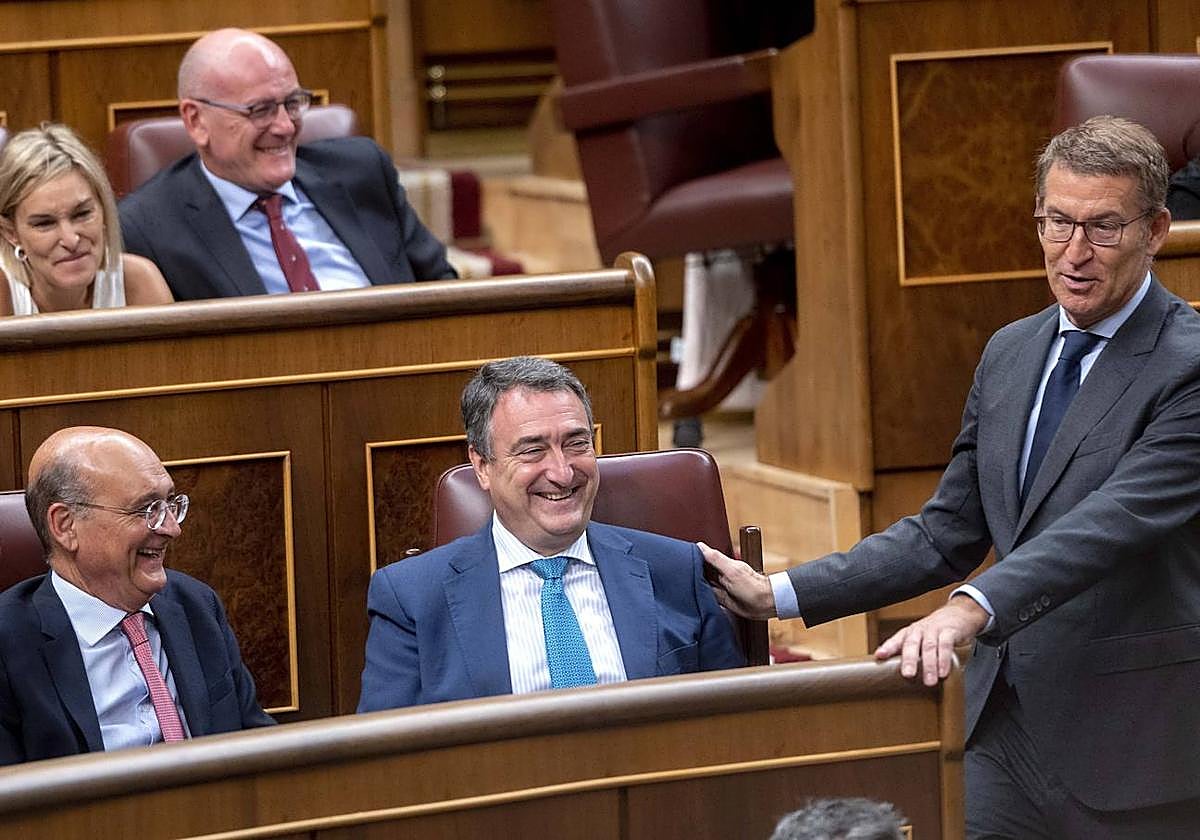 El PNV cree que el PP queda «desacreditado» como partido de Estado tras el enredo de Feijóo con la amnistía