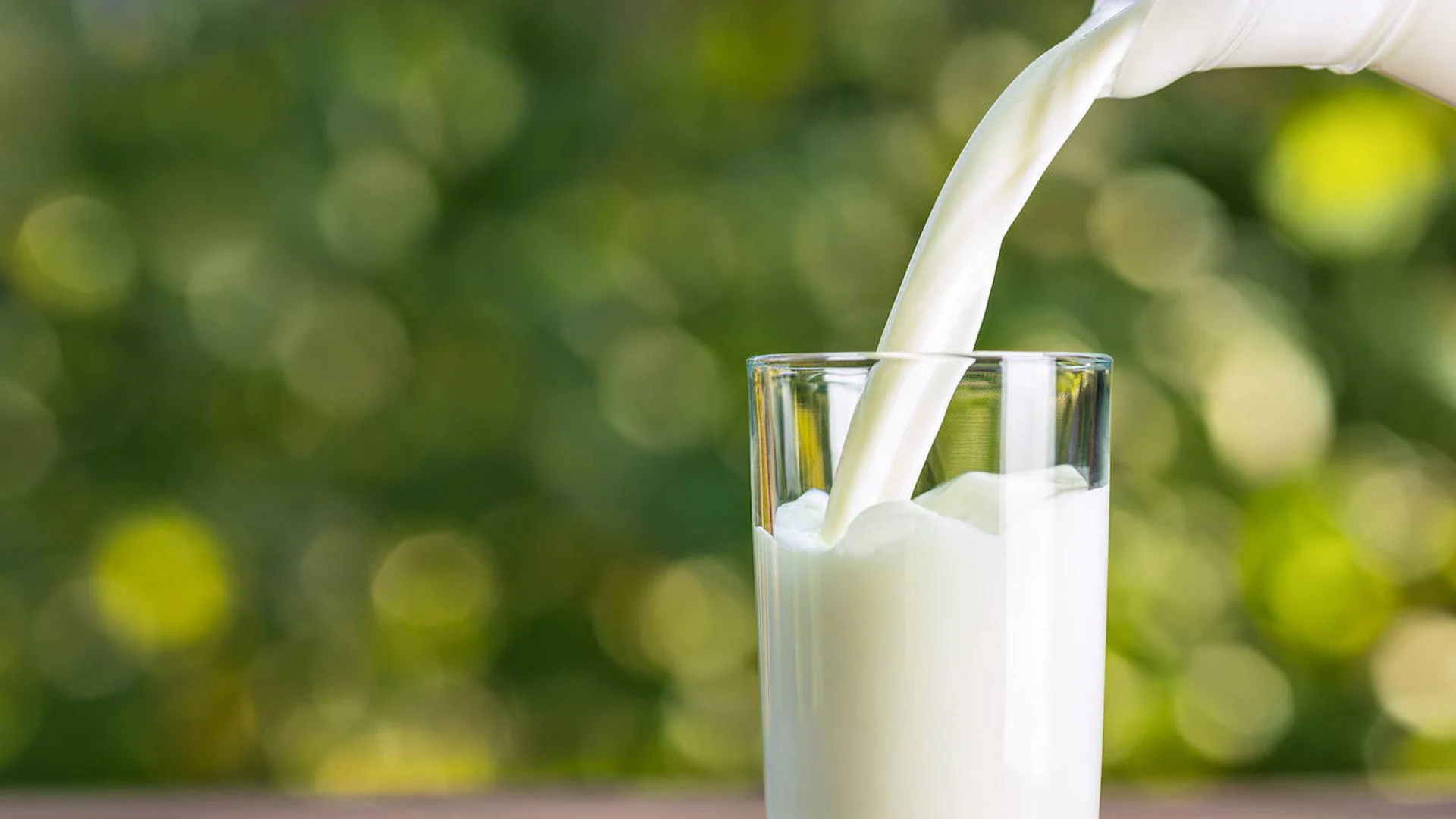 Nutrición: ¿Es mejor la leche entera o la desnatada? Una nutricionista  resuelve las dudas | El Correo