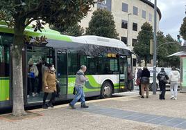 Los autobuses que van al hospital de Galdakao desde Ayala tardan dos horas en hacer el trayecto.