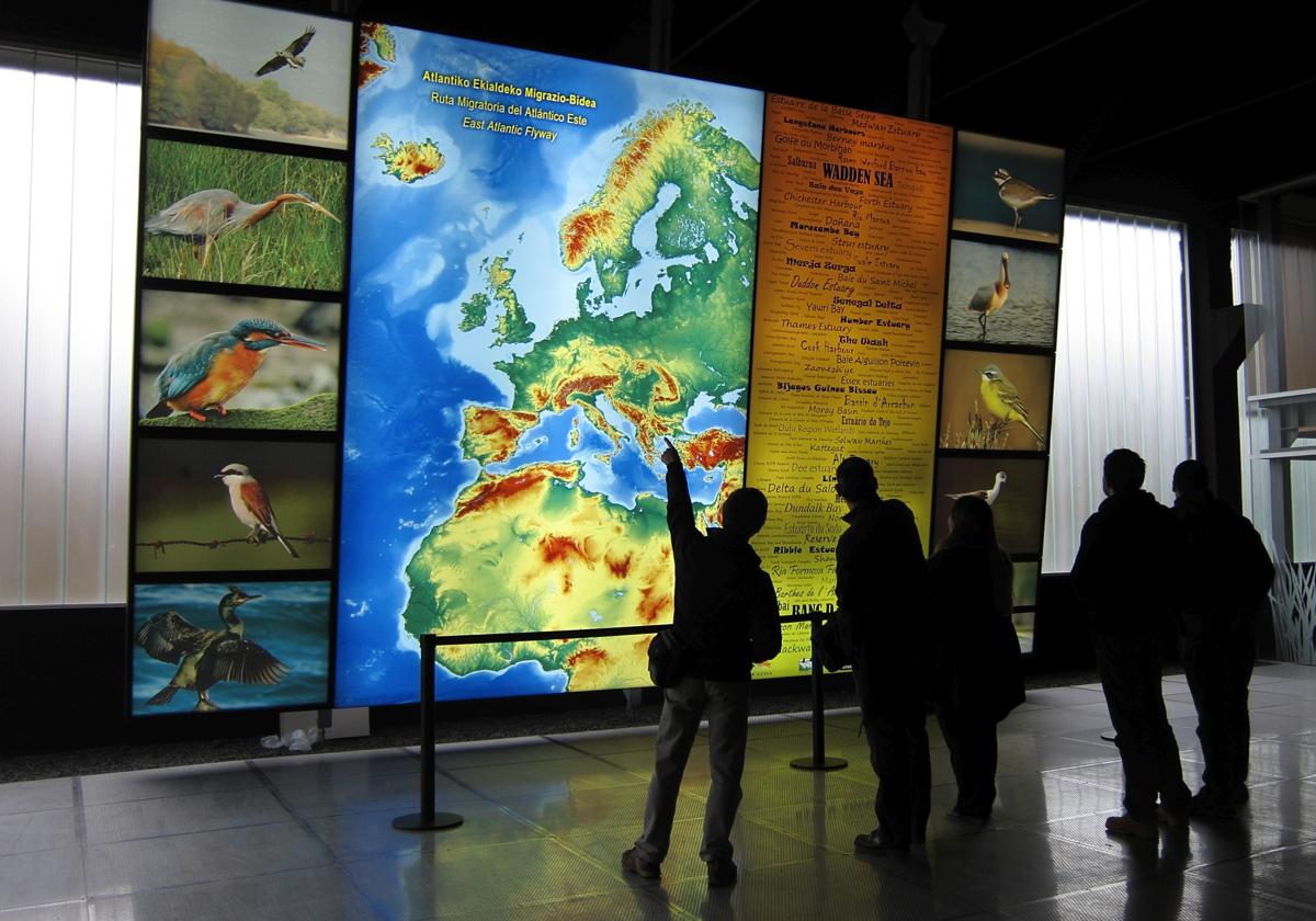 Varias personas visitan las instalaciones del Urdaibai Bird Center en Gautegiz Arteaga.