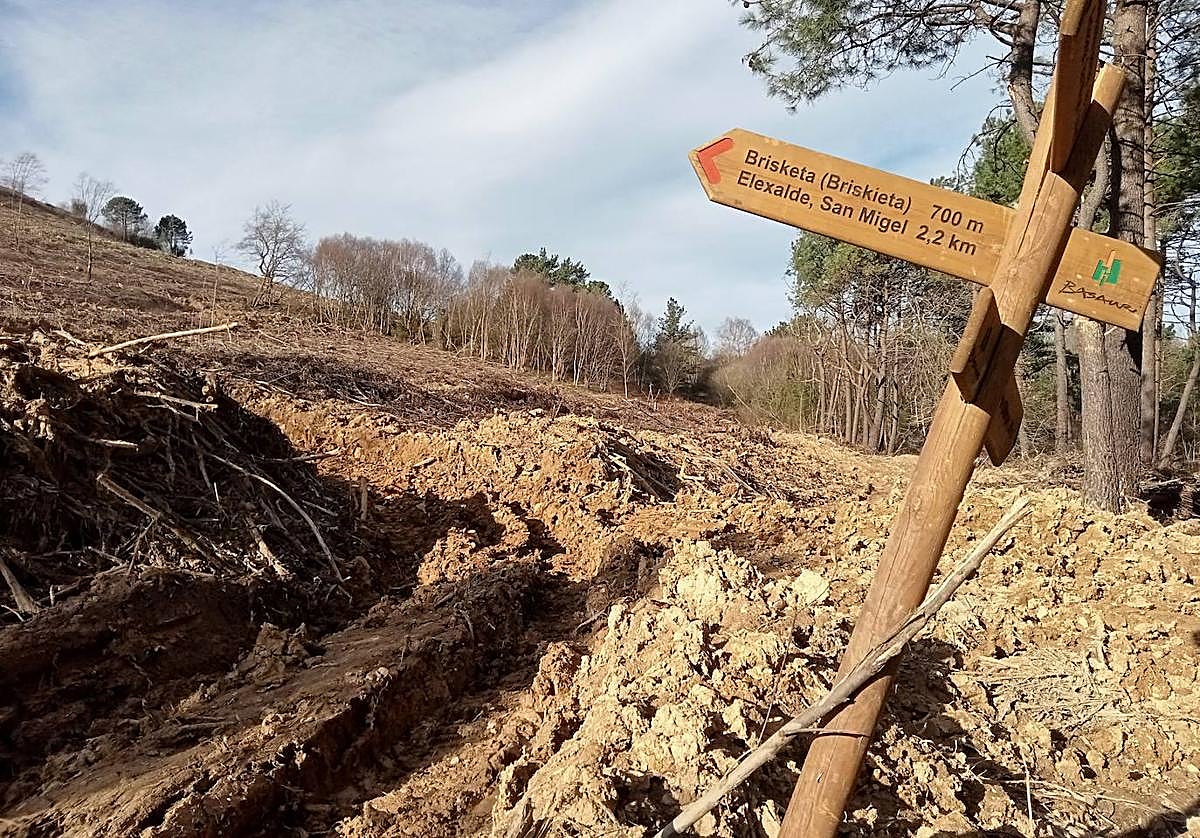 Ecologistas de Basauri denuncian ante la Ertzaintza ataques a sus plantaciones.