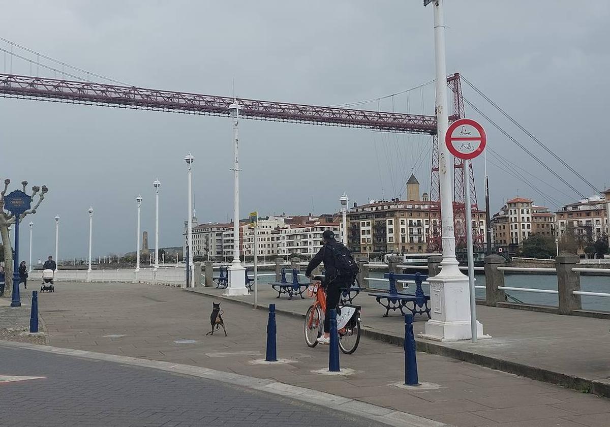 Un hombre circulando este jueves con una bicicleta eléctrica junto a una señal de prohibido.