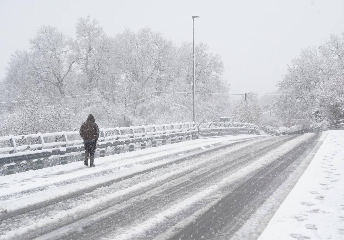 La nevada en Álava, en imágenes