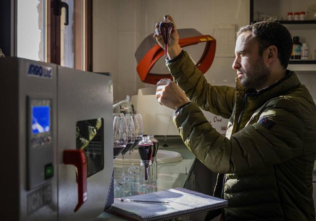 Iker observa una muestra en el laboratorio de su bodega.