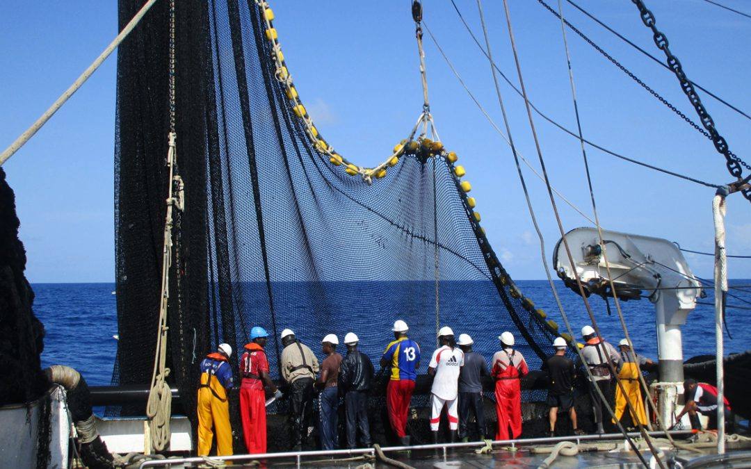 Un grupo de marineros trabaja a bordo de un atunero.