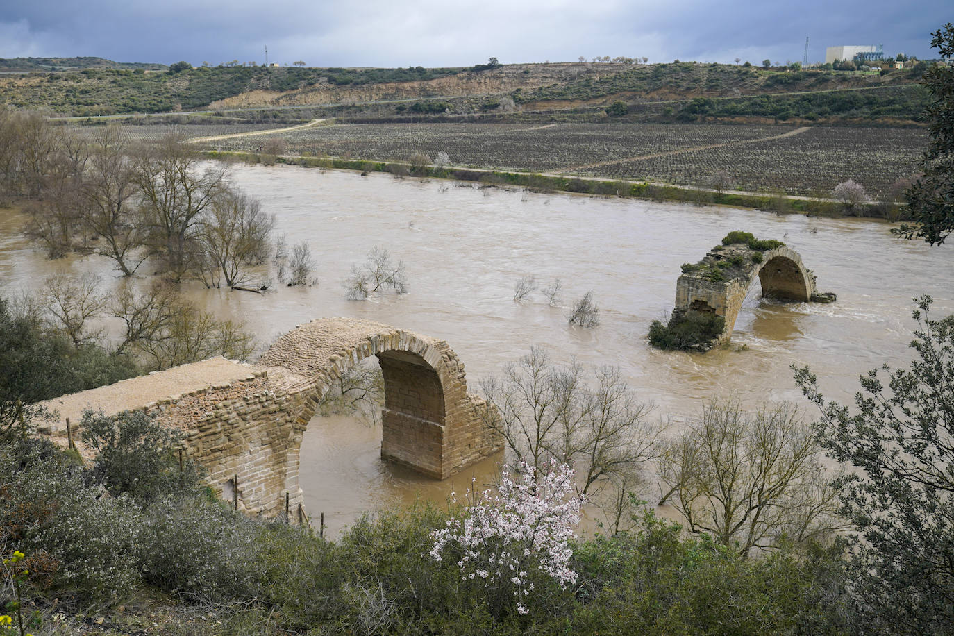 El arco riojano del puente de Mantible reconstruido, en primer término, y el arco del lado alavés, estos días rodeado por la crecida del Ebro.