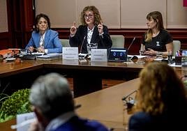La diputada Cristina González, durante su comparecencia.