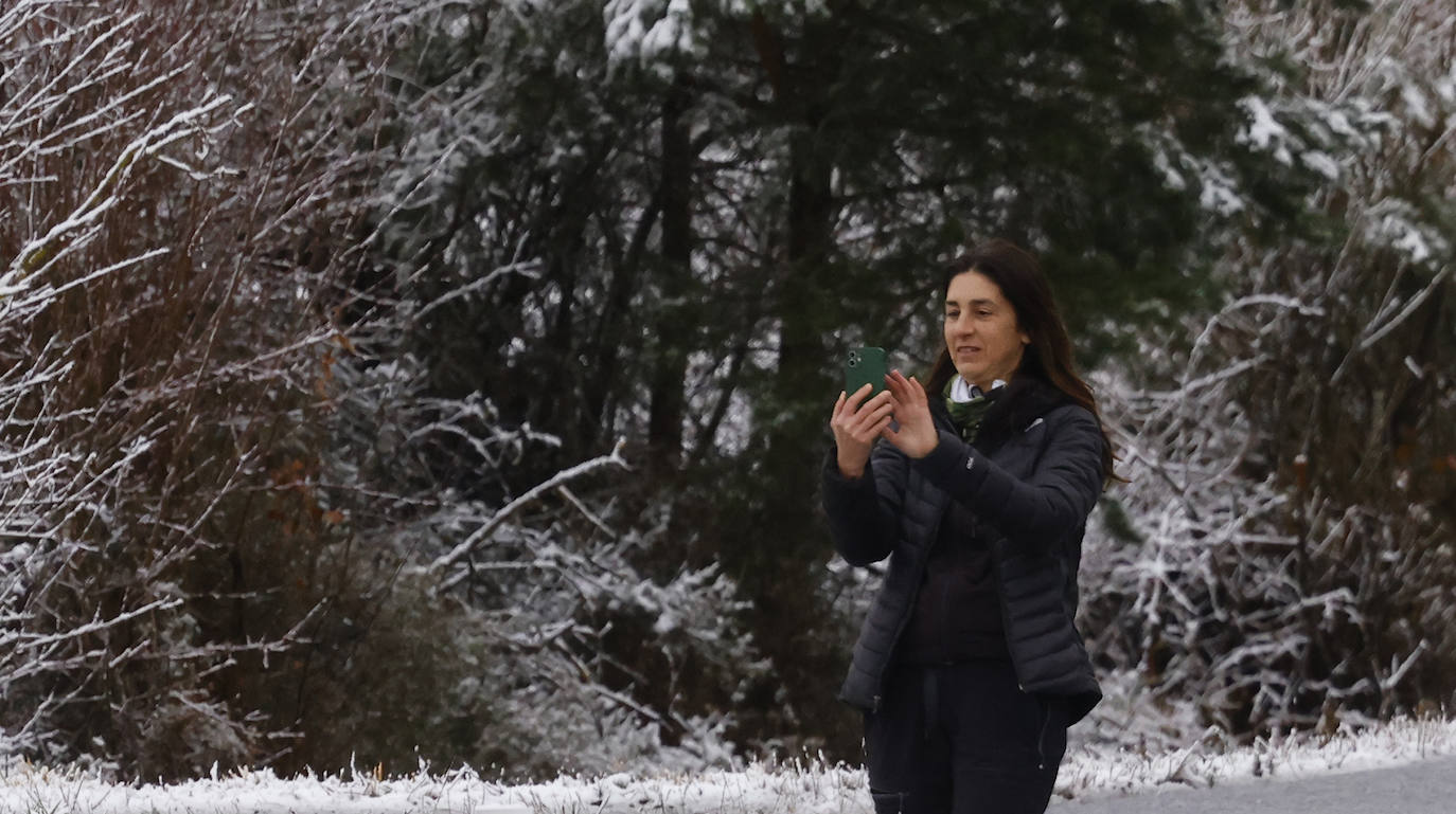 La nieve cubre de blanco Zuia y Murgia