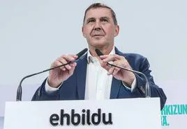 Otegi responde a Erkoreka: «Si tiene pruebas que vaya al juzgado, si no está mintiendo»