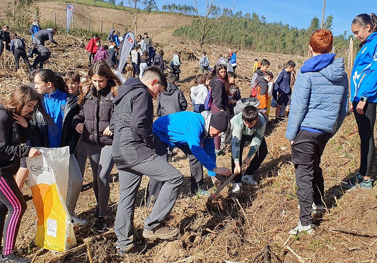Los colegios se turnarán durante las próximas semanas para reforestar las zonas afectadas por las llamas en 2019.