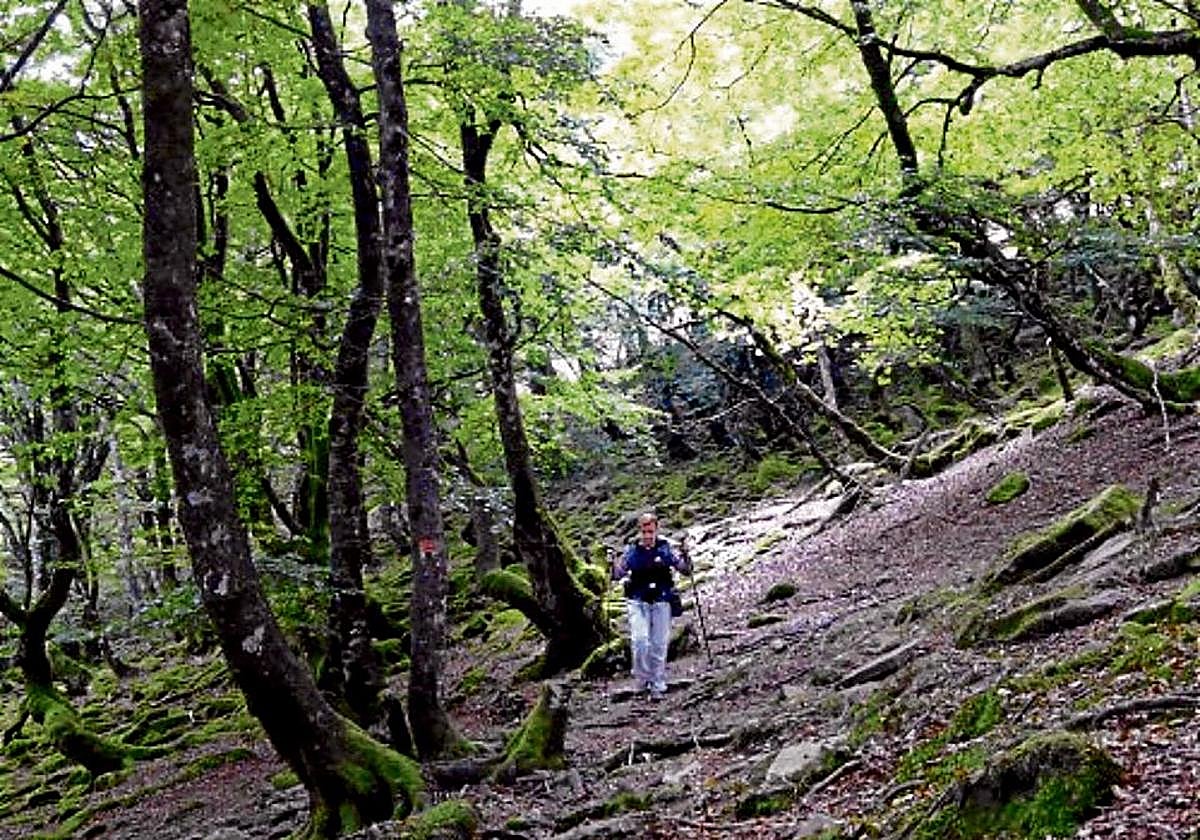 El puerto marca apasionantes episodios de la historia de Navarra.