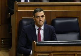 El presidente del Gobierno, Pedro Sánchez.