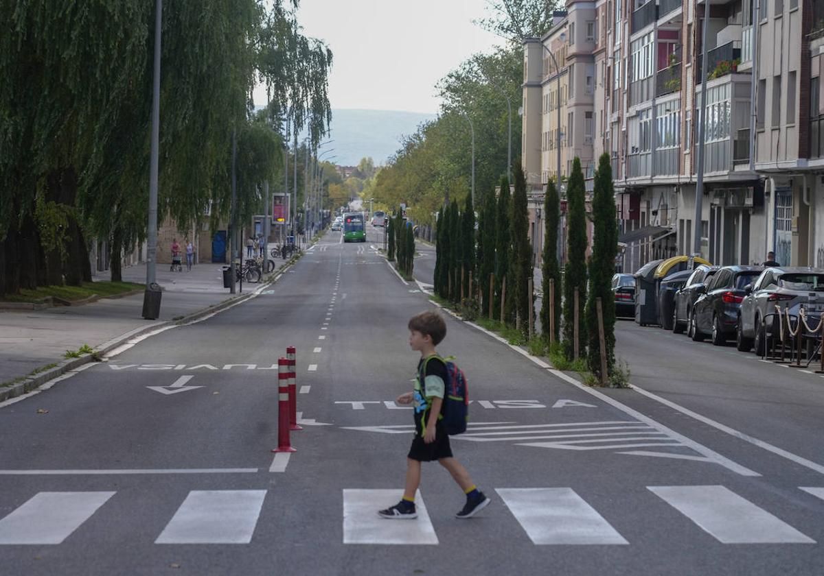 Un paso de cebra cruza los dos carriles del BEI en la calle Zumaquera.