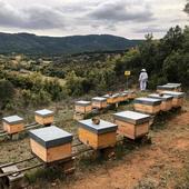 Una dulce experiencia en plena naturaleza para disfrutar de Las Merindades esta Semana Santa