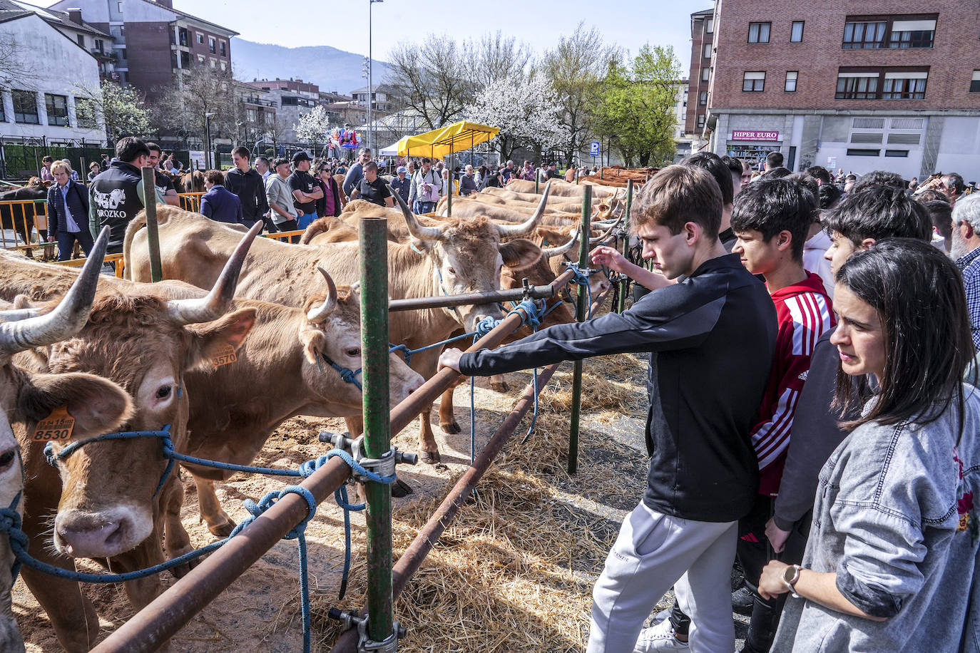 La Feria de Viernes de Dolores en Llodio, en imágenes