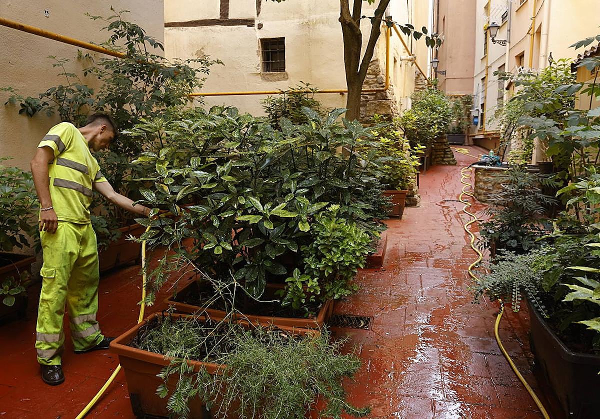 Los caños rehabilitados son ahora las principales zonas verdes del Casco Medieval.