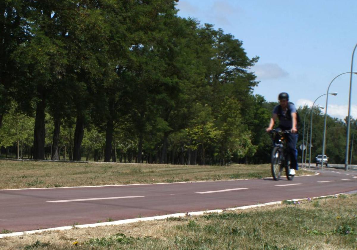 El bicicarril a Laponia de la diputada