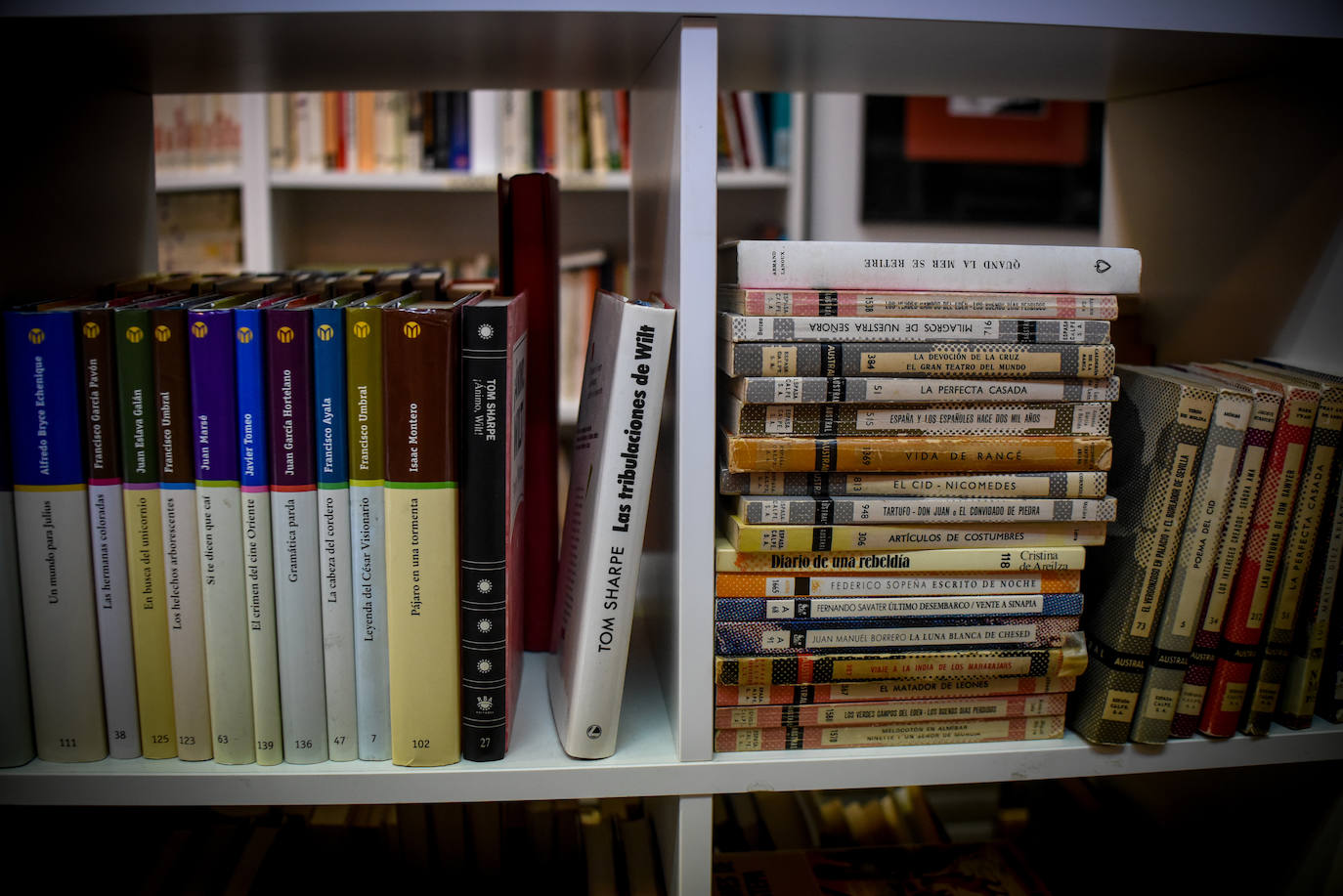 La librería «mágica» de Bilbao con todos los libros a 3 euros