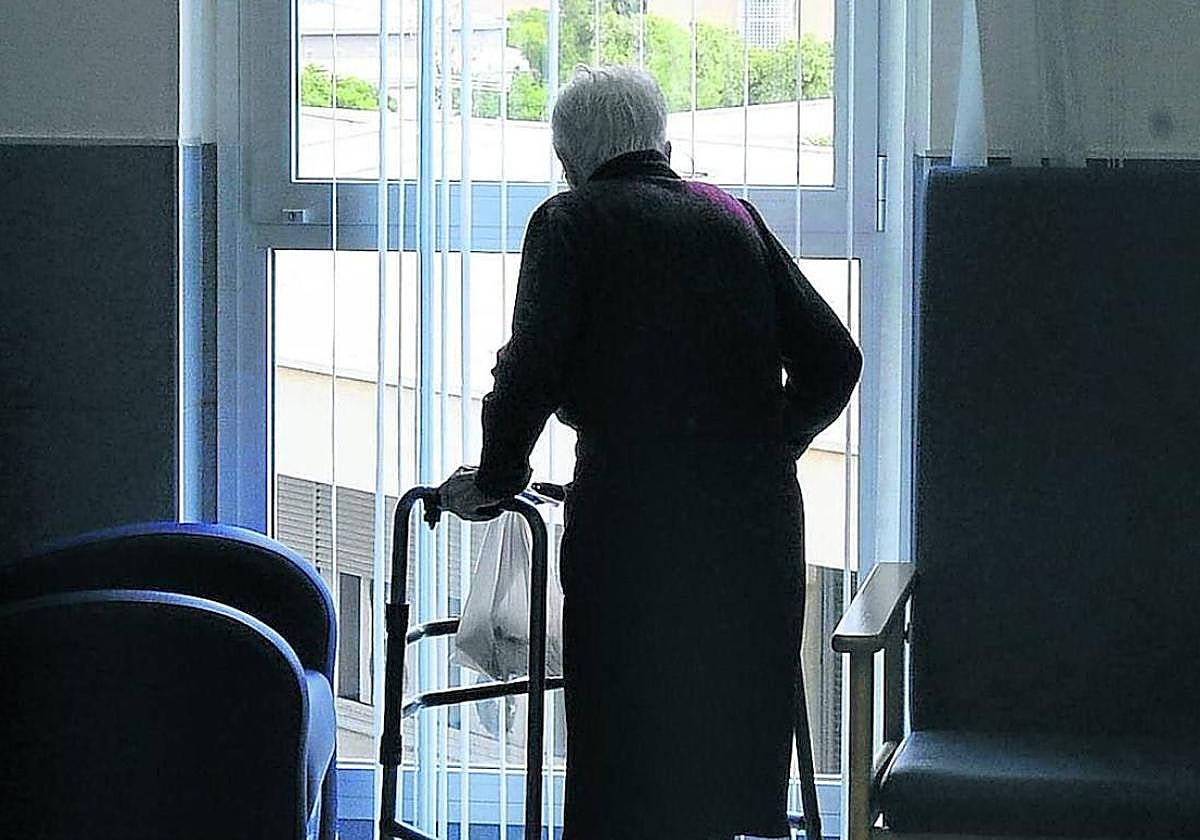 El PP urge al Ayuntamiento de Vitoria a conceder más horas de ayuda a domicilio a 2.000 dependientes