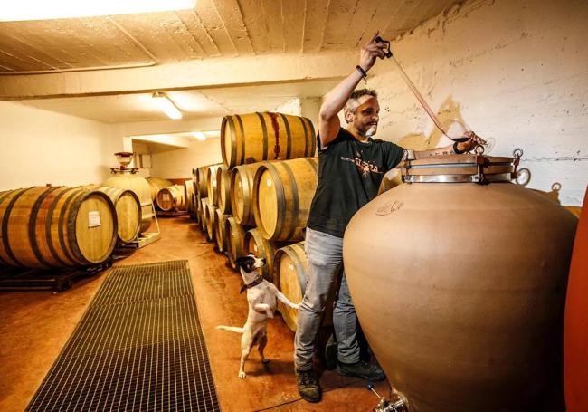 Carlos Fernández Gómez Viñador, de Bodegas Tierra, trabaja bajo la casa ubicada en el barrio judío de Labastida.