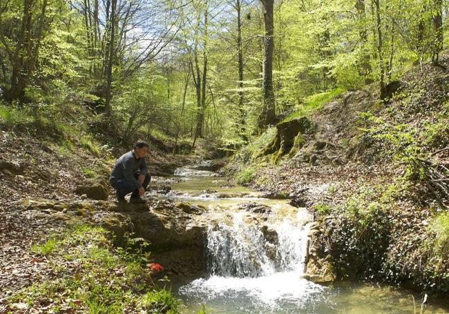 Los Montes de Vitoria son la mayor reserva natural del municipio.