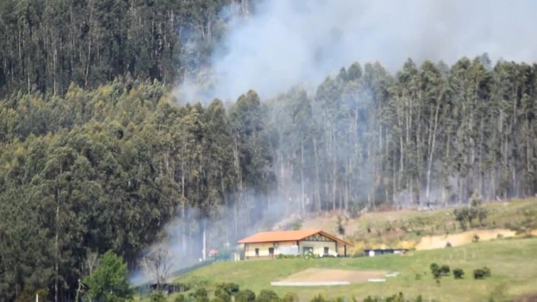 Los bomberos extinguen un incendio forestal en Lemoiz