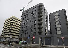 El Ararteko pide al Gobierno vasco que garantice la igualdad para familias con más de seis miembros en el acceso a VPO