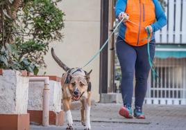 La educadora canina Loli Cal con uno de sus perros entrenados para el rescate de personas.