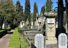 El ladrón fue capturado en el cementerio de Santa Isabel.