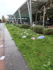 Jardín de la plaza de la Estación de Algorta que tiene restos de comida y suciedad.