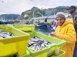 Bruno Araujo del 'Costa Cordal' de La Coruña prepara las cajas para llevarlas a la lonja.