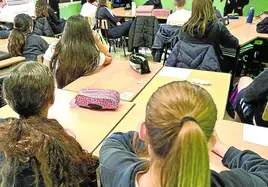 Euskadi cuenta con la red concertada mejor financiada del país y, al mismo tiempo, tiene el segundo índices de segregación escolar más alto.